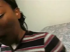 Crnkinje dlakavi