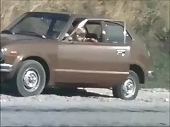 Danski berba