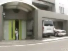 Rad bez dna i dlakavi japanski 5