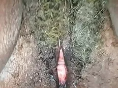 -Sheila!  62 godina star crni baka s mokro siva maca