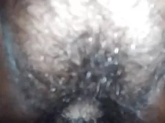 Jebeni indijski baka dlakavi maca