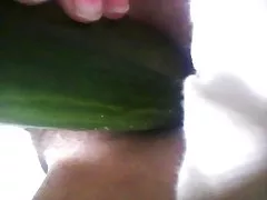 Maca žena