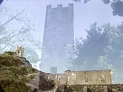 Tropski začin
