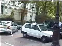 Šuma