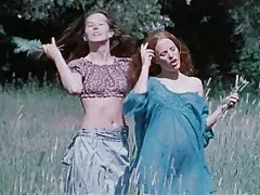 Prljava šuma