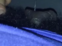 Ebanovina s velikim maca usne 3