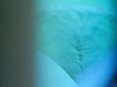 Dlakavi plavuša sunčanja u teretani