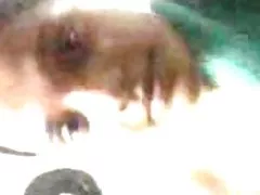 Seksi dlakavi indijski tamil teen uzeti tuš nakon hardcore seks
